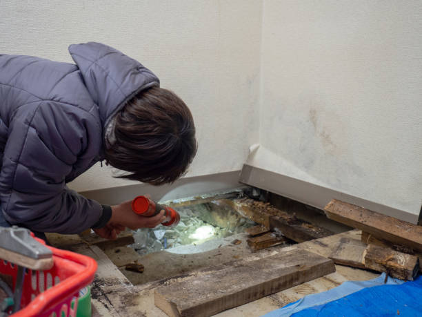 Best Commercial Mold Inspection  in Conehatta, MS