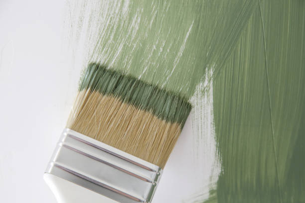 Best Water Damage & Mold Remediation  in Conehatta, MS