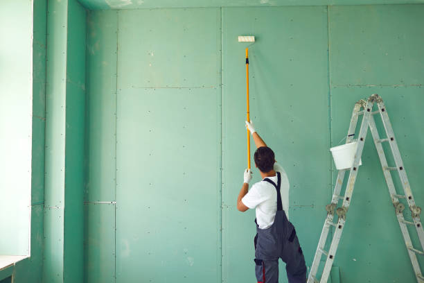 Best Real Estate Mold Inspection  in Conehatta, MS