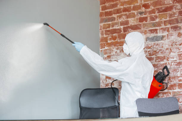 Mold Remediation for Vacation Homes in Conehatta, MS