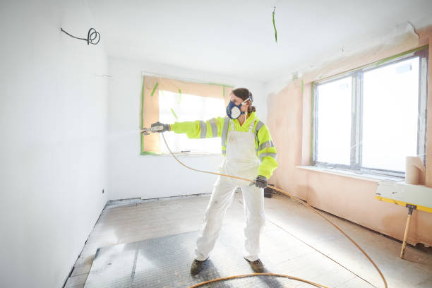 Best Environmental Consulting for Mold Prevention  in Conehatta, MS