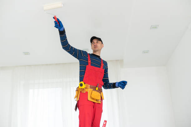 Best Mold Prevention Services  in Conehatta, MS