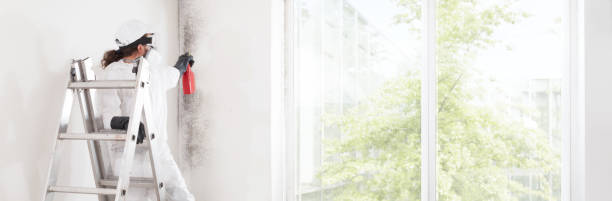 Best Mold Removal for HVAC Installations  in Conehatta, MS