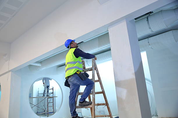 Best Attic Mold Removal  in Conehatta, MS
